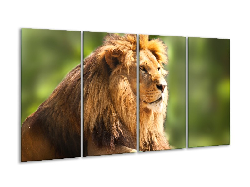 Canvas Schilderij Leeuw, Dieren | Bruin, Groen | 160x80cm 4Luik