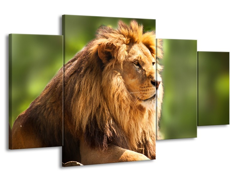 Canvas Schilderij Leeuw, Dieren | Bruin, Groen | 160x90cm 4Luik