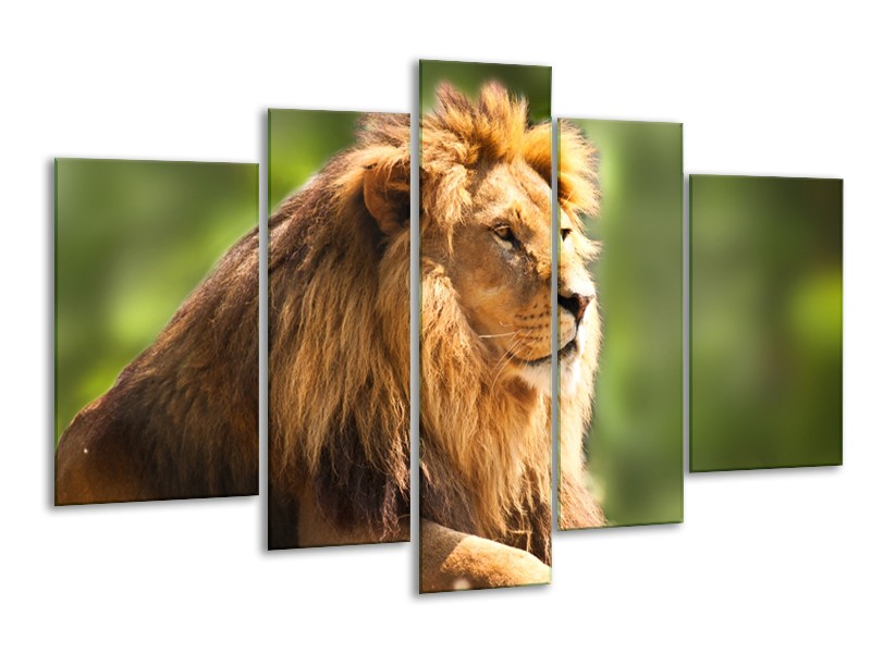 Canvas Schilderij Leeuw, Dieren | Bruin, Groen | 170x100cm 5Luik