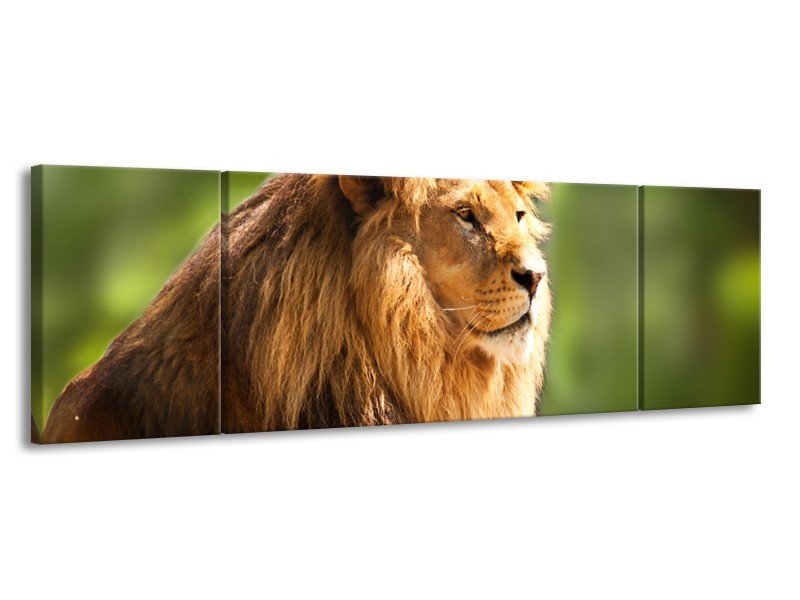 Canvas Schilderij Leeuw, Dieren | Bruin, Groen | 170x50cm 3Luik