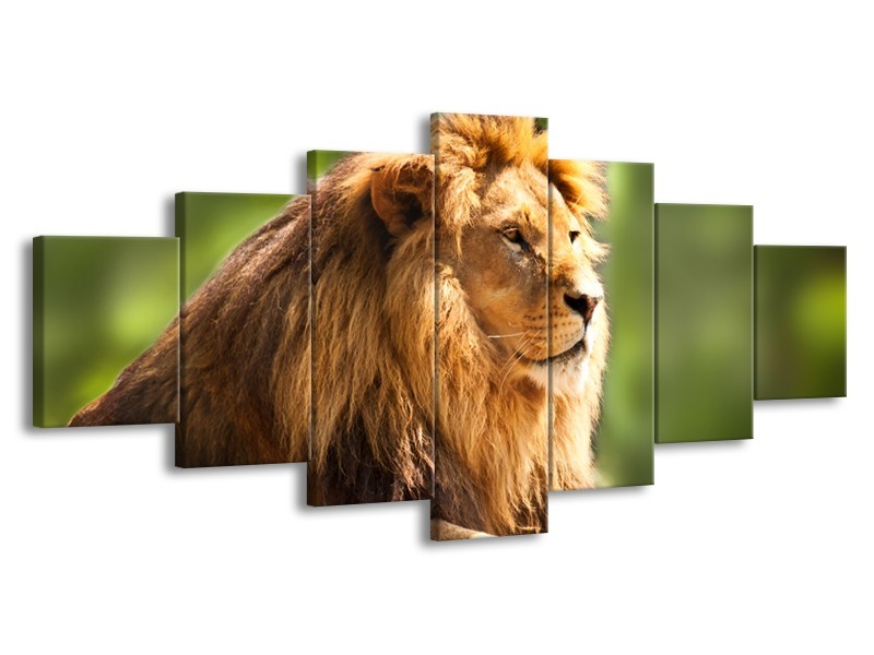 Canvas Schilderij Leeuw, Dieren | Bruin, Groen | 210x100cm 7Luik