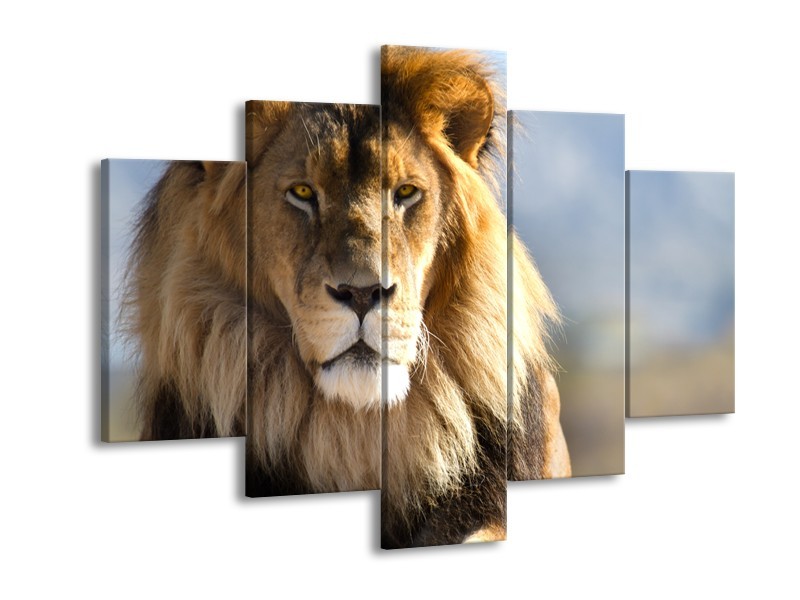 Canvas Schilderij Leeuw, Dieren | Bruin, Blauw, Grijs | 150x105cm 5Luik