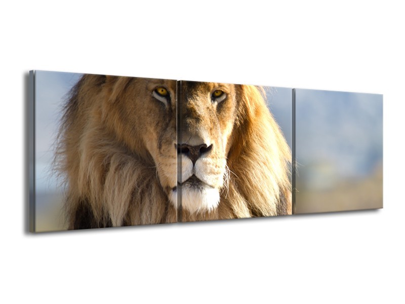 Canvas Schilderij Leeuw, Dieren | Bruin, Blauw, Grijs | 150x50cm 3Luik