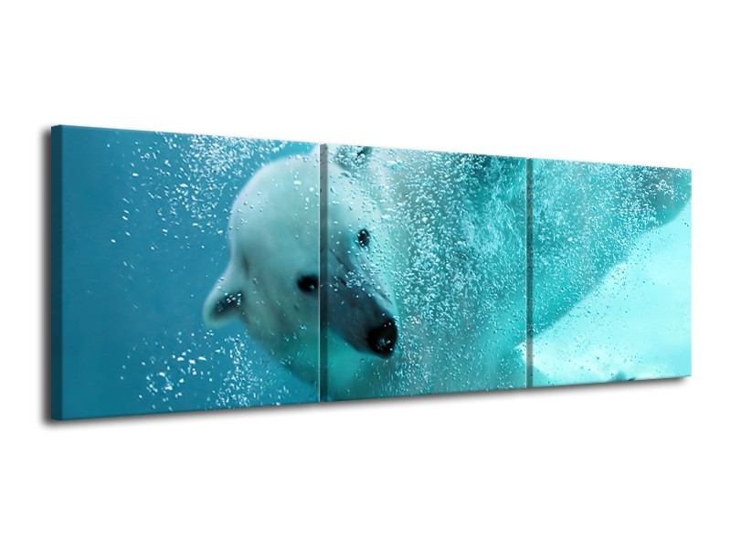 Glasschilderij Poolbeer, Dieren | Blauw, Groen, Grijs | 120x40cm 3Luik