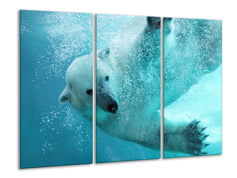 Canvas Schilderij Poolbeer, Dieren | Blauw, Groen, Grijs | 120x80cm 3Luik