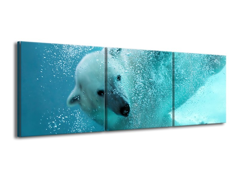 Glasschilderij Poolbeer, Dieren | Blauw, Groen, Grijs | 150x50cm 3Luik