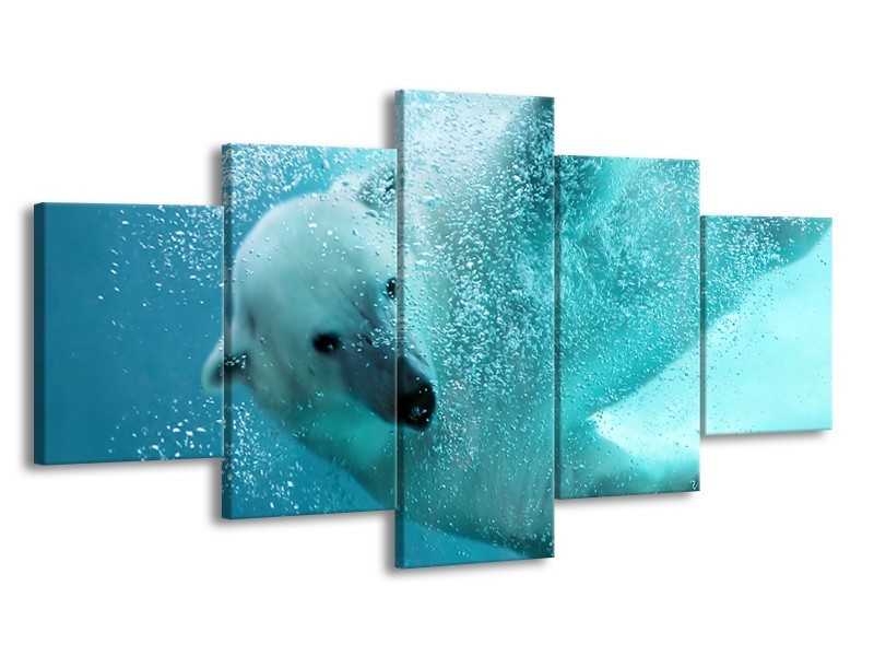Glasschilderij Poolbeer, Dieren | Blauw, Groen, Grijs | 150x80cm 5Luik