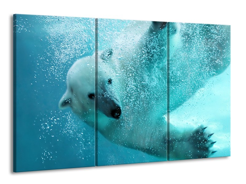 Canvas Schilderij Poolbeer, Dieren | Blauw, Groen, Grijs | 165x100cm 3Luik