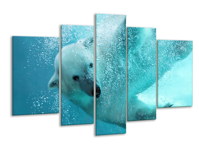 Glasschilderij Poolbeer, Dieren | Blauw, Groen, Grijs | 170x100cm 5Luik
