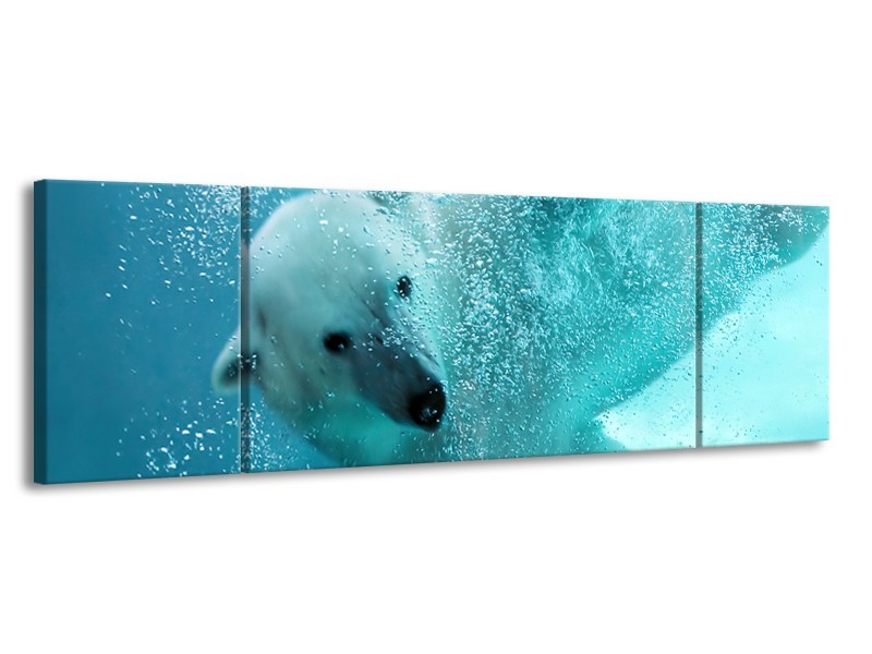 Glasschilderij Poolbeer, Dieren | Blauw, Groen, Grijs | 170x50cm 3Luik