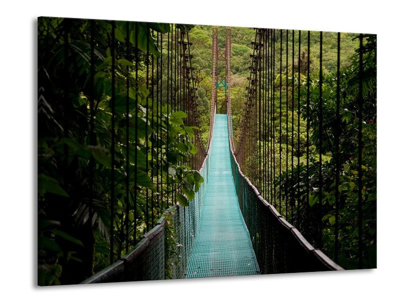 Canvas Schilderij Natuur, Brug | Groen, Blauw, Zwart | 100x70cm 1Luik