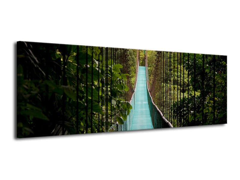 Glasschilderij Natuur, Brug | Groen, Blauw, Zwart | 120x40cm 3Luik