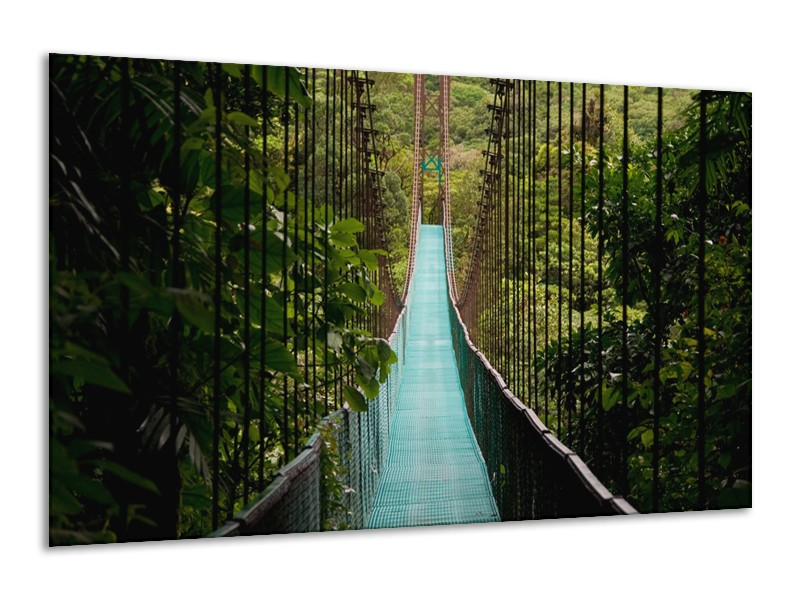 Glasschilderij Natuur, Brug | Groen, Blauw, Zwart | 120x70cm 1Luik