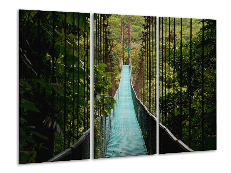 Glasschilderij Natuur, Brug | Groen, Blauw, Zwart | 120x80cm 3Luik