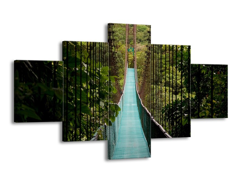 Canvas Schilderij Natuur, Brug | Groen, Blauw, Zwart | 125x70cm 5Luik