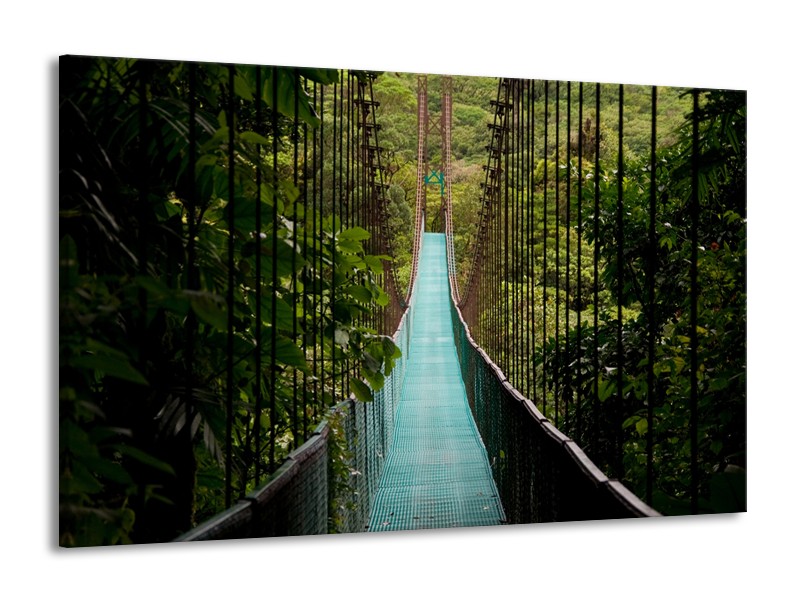 Glasschilderij Natuur, Brug | Groen, Blauw, Zwart | 140x90cm 1Luik