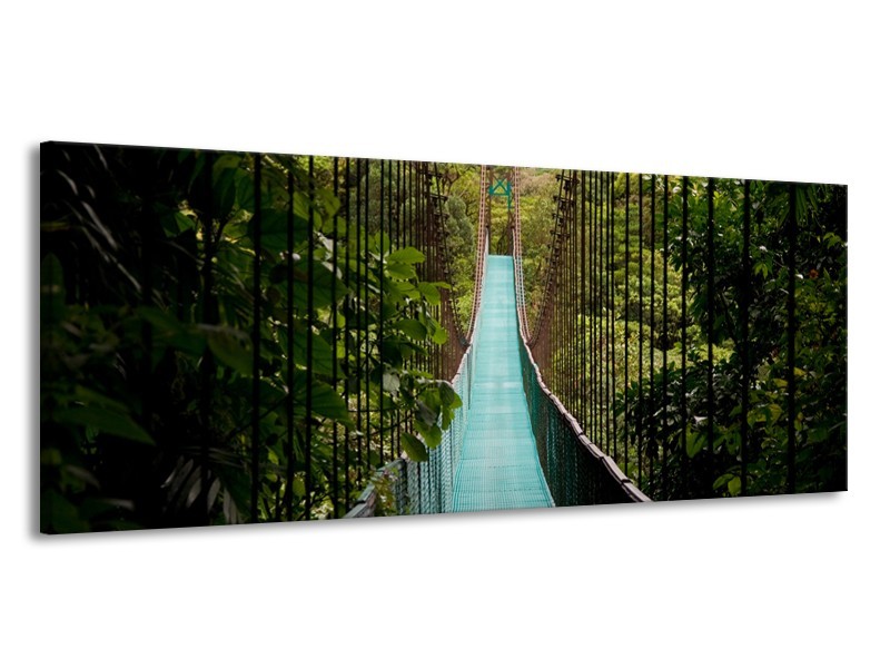 Glasschilderij Natuur, Brug | Groen, Blauw, Zwart | 145x58cm 1Luik