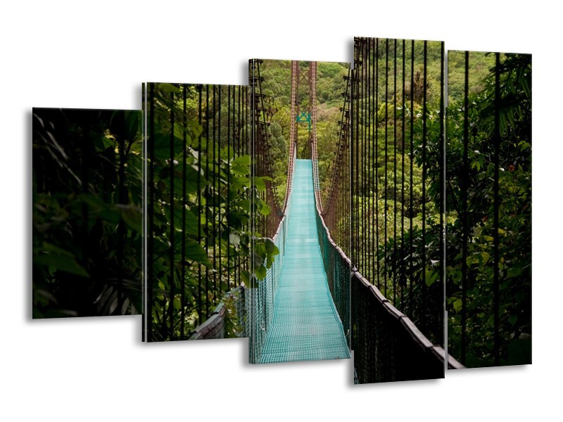 Glasschilderij Natuur, Brug | Groen, Blauw, Zwart | 150x100cm 5Luik