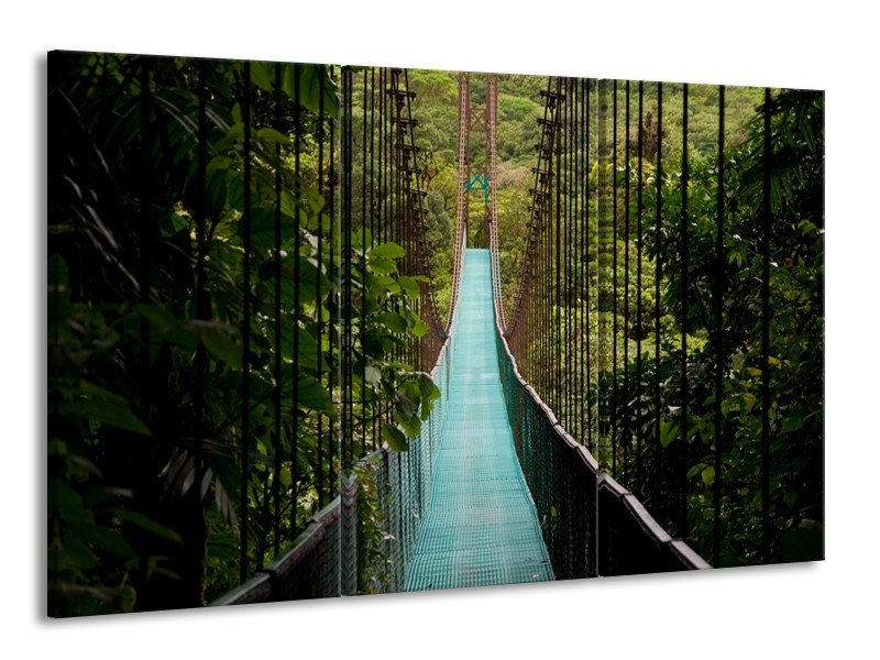 Canvas Schilderij Natuur, Brug | Groen, Blauw, Zwart | 165x100cm 3Luik