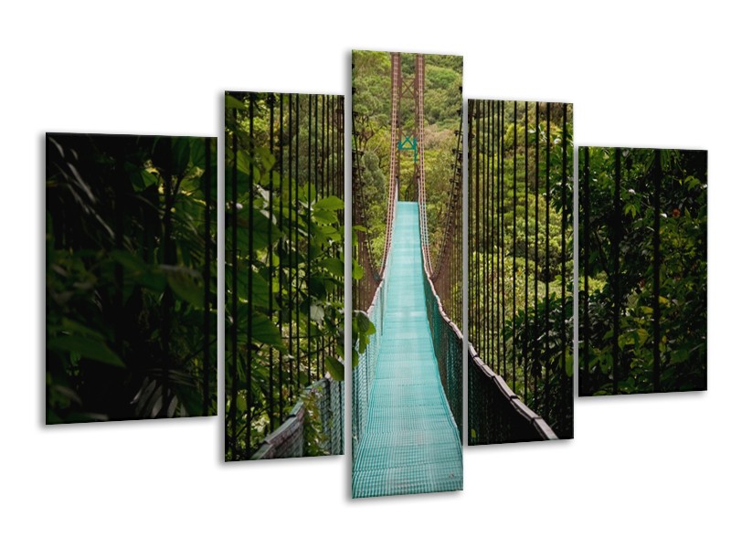 Glasschilderij Natuur, Brug | Groen, Blauw, Zwart | 170x100cm 5Luik