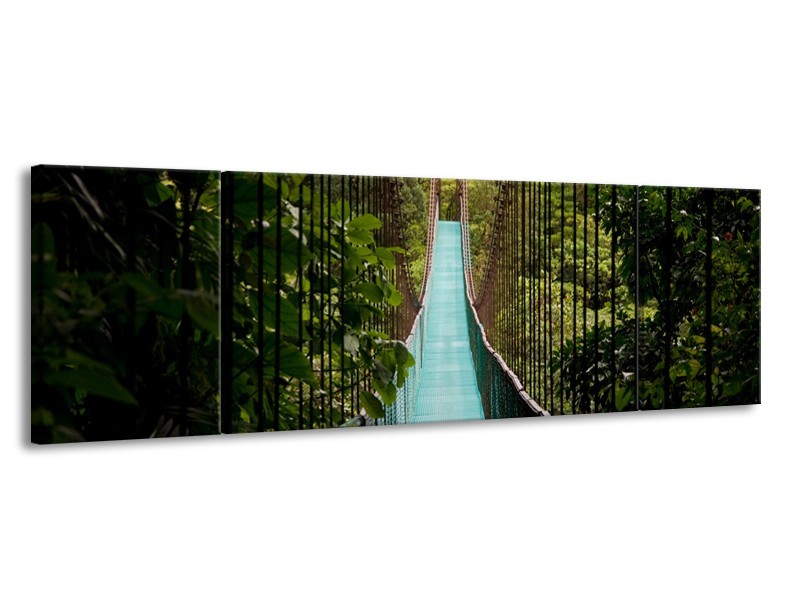 Glasschilderij Natuur, Brug | Groen, Blauw, Zwart | 170x50cm 3Luik