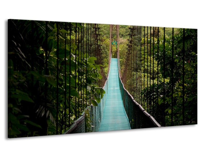 Canvas Schilderij Natuur, Brug | Groen, Blauw, Zwart | 170x90cm 1Luik