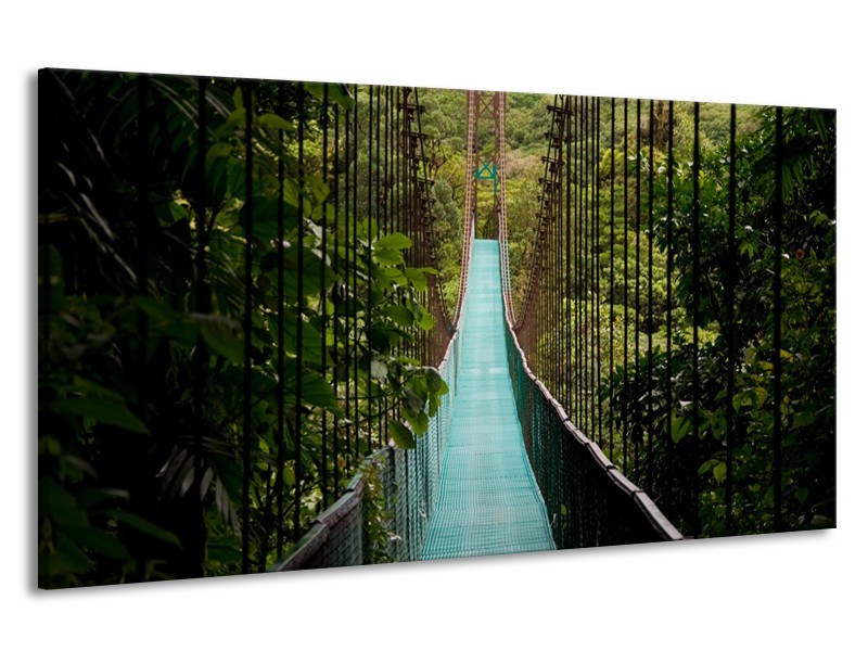 Canvas Schilderij Natuur, Brug | Groen, Blauw, Zwart | 190x100cm 1Luik