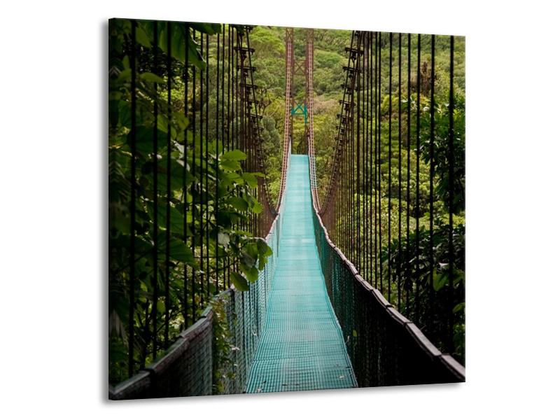 Glasschilderij Natuur, Brug | Groen, Blauw, Zwart | 50x50cm 1Luik