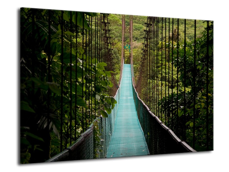 Canvas Schilderij Natuur, Brug | Groen, Blauw, Zwart | 70x50cm 1Luik