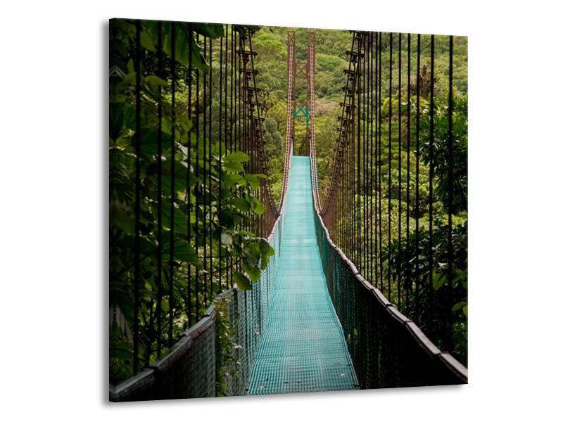 Canvas Schilderij Natuur, Brug | Groen, Blauw, Zwart | 70x70cm 1Luik