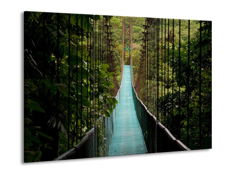 Glasschilderij Natuur, Brug | Groen, Blauw, Zwart | 60x90cm 3Luik