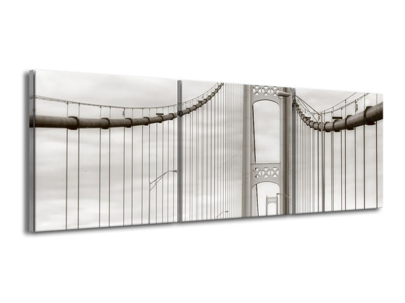 Glasschilderij Brug, Weg | Grijs, Bruin, Wit | 150x50cm 3Luik