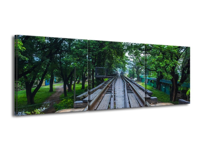 Glasschilderij Natuur, Bos | Groen, Grijs | 150x50cm 3Luik