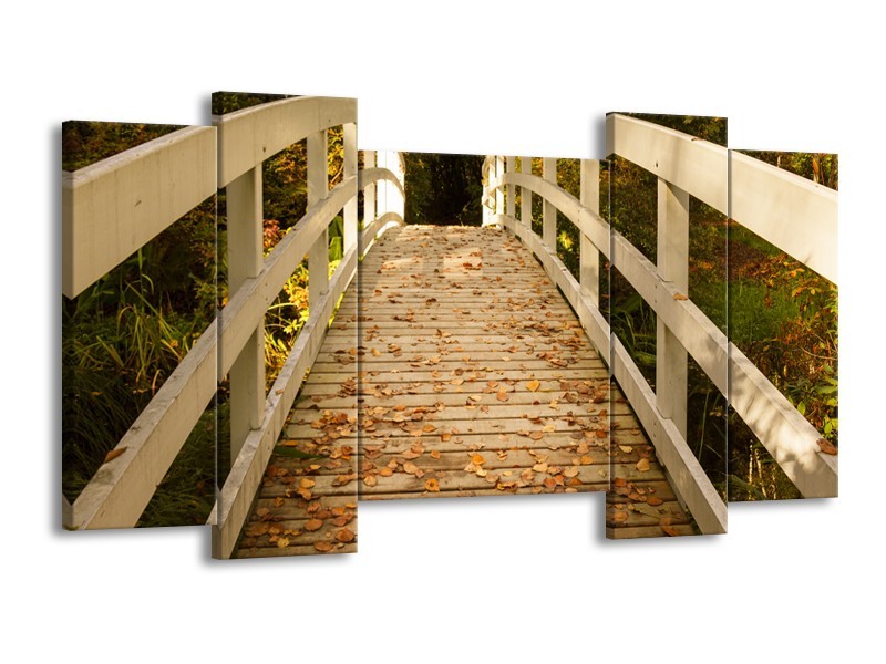 Glasschilderij Brug, Natuur | Bruin, Oranje, Crème | 120x65cm 5Luik