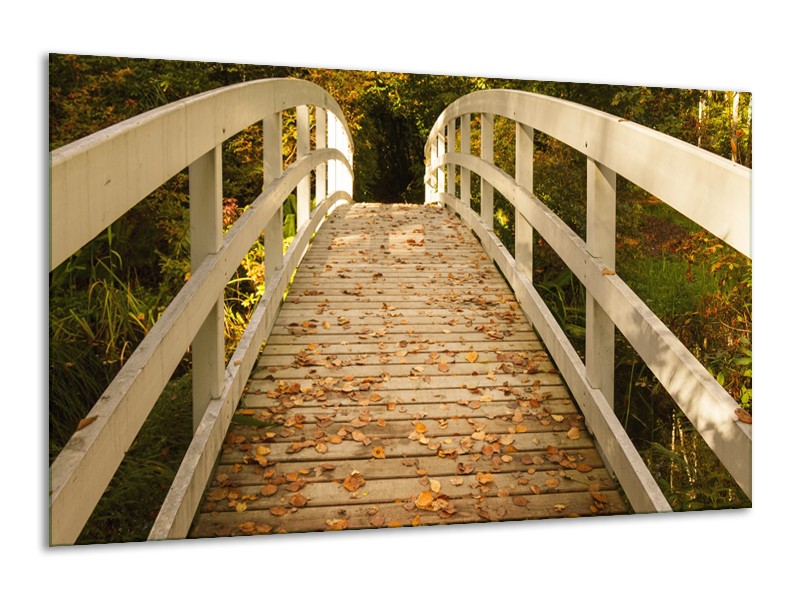 Glasschilderij Brug, Natuur | Bruin, Oranje, Crème | 120x70cm 1Luik