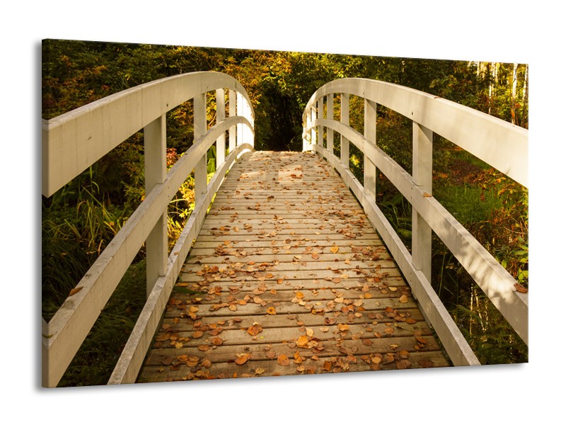 Canvas Schilderij Brug, Natuur | Bruin, Oranje, Crème | 140x90cm 1Luik