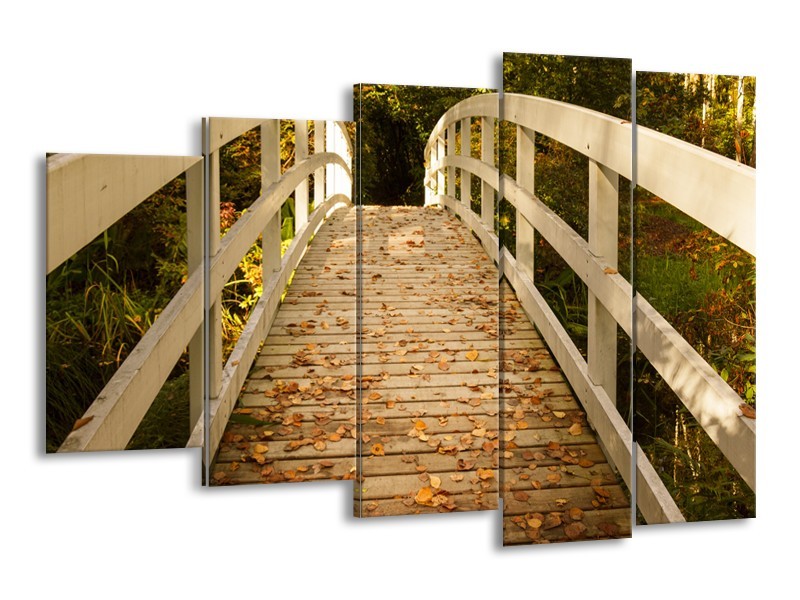 Glasschilderij Brug, Natuur | Bruin, Oranje, Crème | 150x100cm 5Luik