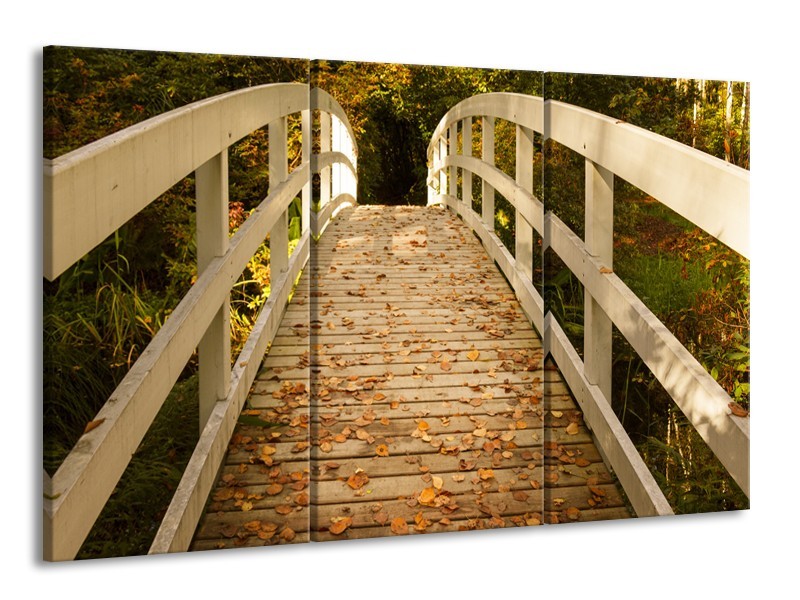 Canvas Schilderij Brug, Natuur | Bruin, Oranje, Crème | 165x100cm 3Luik