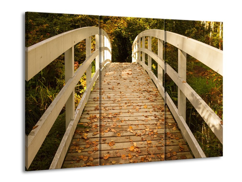 Glasschilderij Brug, Natuur | Bruin, Oranje, Crème | 60x90cm 3Luik