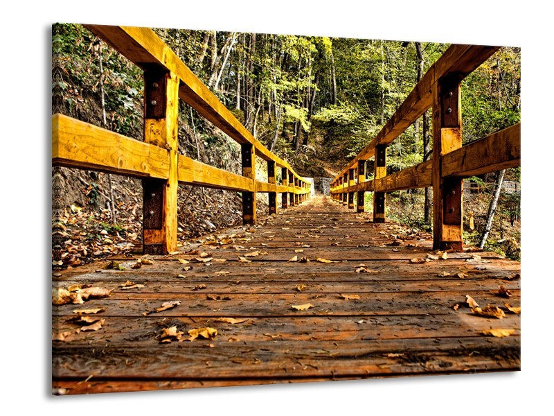 Glasschilderij Brug, Natuur | Bruin, Geel, Groen | 100x70cm 1Luik