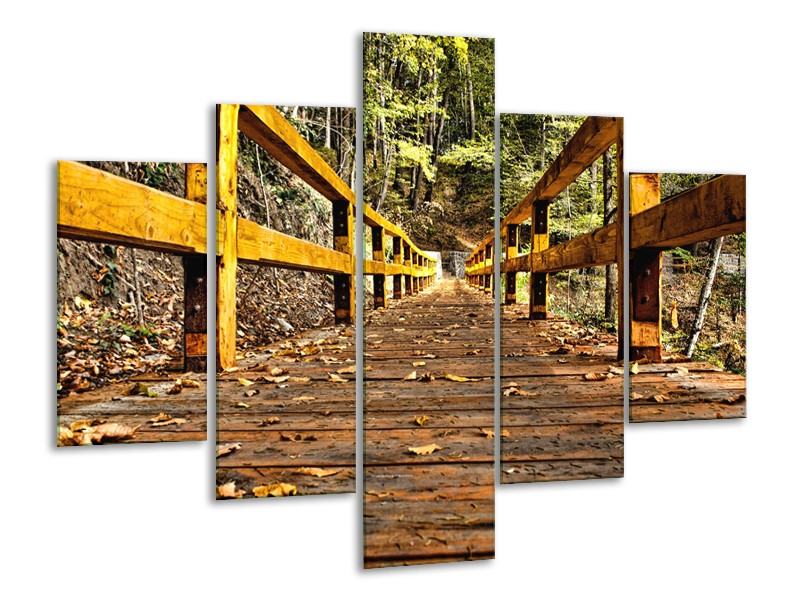 Glasschilderij Brug, Natuur | Bruin, Geel, Groen | 100x70cm 5Luik