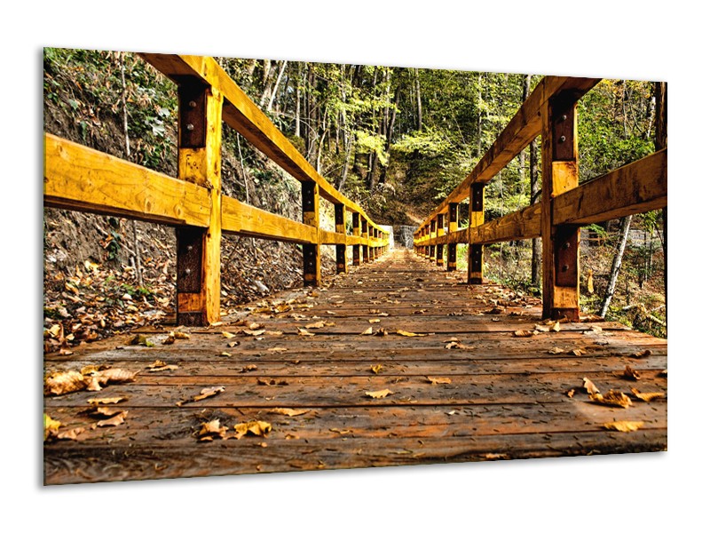 Glasschilderij Brug, Natuur | Bruin, Geel, Groen | 120x70cm 1Luik