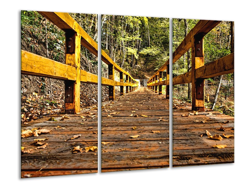 Canvas Schilderij Brug, Natuur | Bruin, Geel, Groen | 120x80cm 3Luik