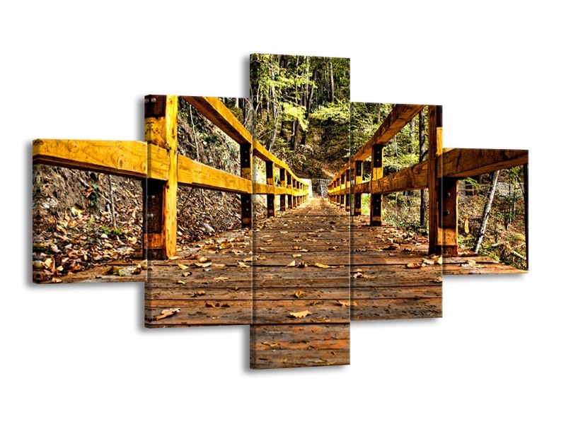 Glasschilderij Brug, Natuur | Bruin, Geel, Groen | 125x70cm 5Luik