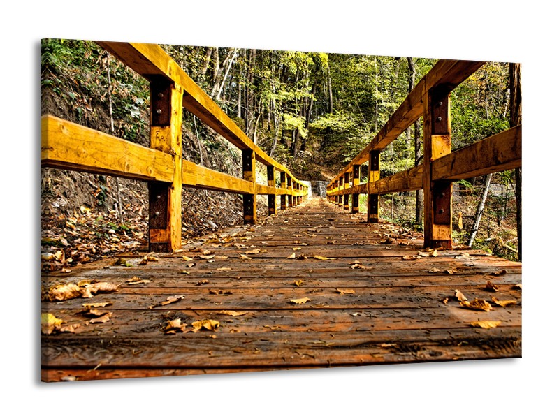 Canvas Schilderij Brug, Natuur | Bruin, Geel, Groen | 140x90cm 1Luik