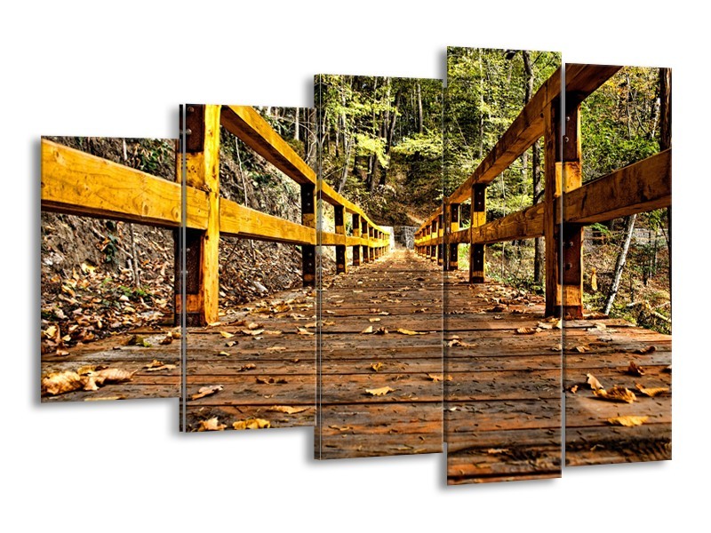 Glasschilderij Brug, Natuur | Bruin, Geel, Groen | 150x100cm 5Luik