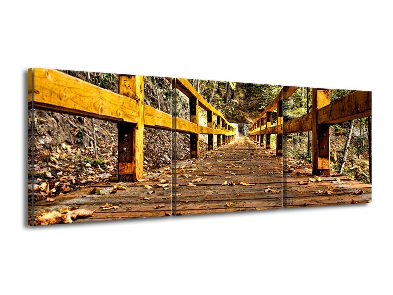 Canvas Schilderij Brug, Natuur | Bruin, Geel, Groen | 150x50cm 3Luik