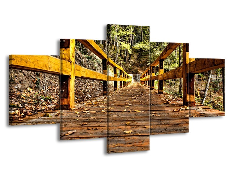 Glasschilderij Brug, Natuur | Bruin, Geel, Groen | 150x80cm 5Luik