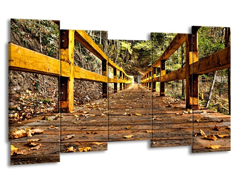 Glasschilderij Brug, Natuur | Bruin, Geel, Groen | 150x80cm 5Luik