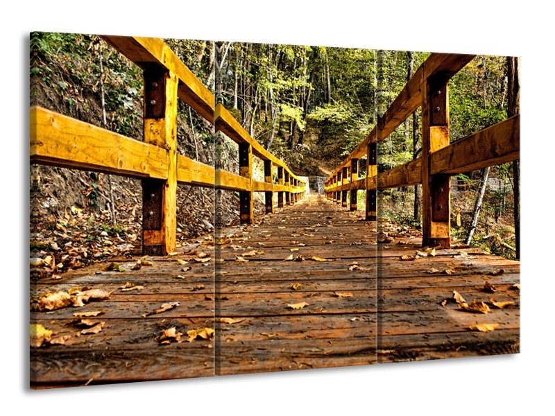 Canvas Schilderij Brug, Natuur | Bruin, Geel, Groen | 165x100cm 3Luik